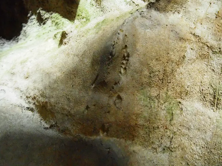 Caves of Remouchamps (Belgium)